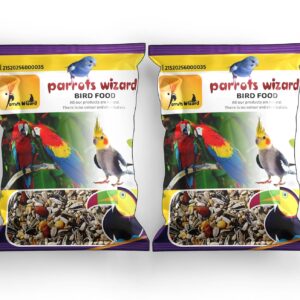 Big Parrot Food 31 Types of Seed Mix [450-gram Pack 2 | Best For Alexander and Ring neck Parrot