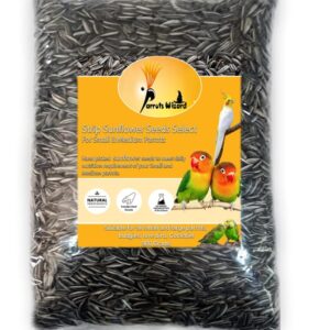 All Life Stages Dry Bird Food Small Size Sunflower Seeds for Bird 900 Grams